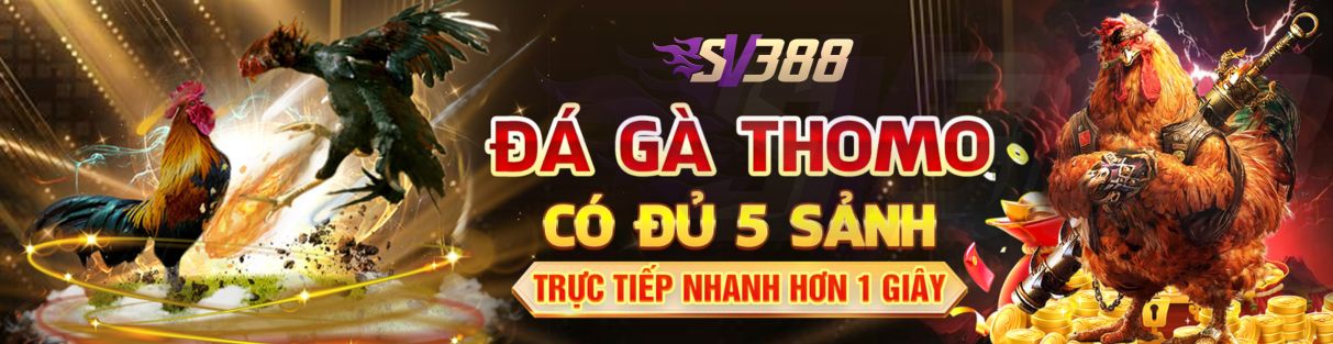 Sv388 đá gà thomo đủ 5 sảnh